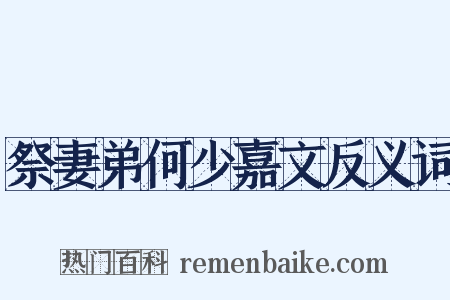 祭妻弟何少嘉文反义词是什么意思的图片